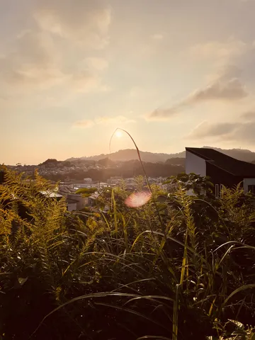 夕刻の草むらと丘の街