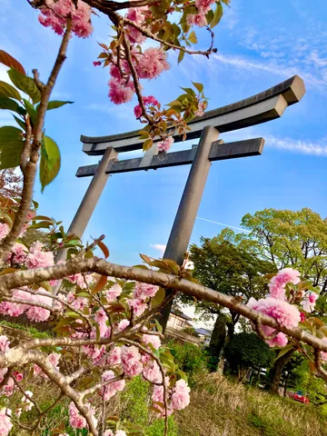花霞む鳥居の門
