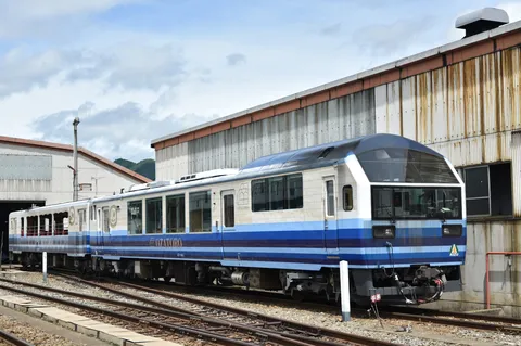 青と白のコントラスト、廃線駅の日常