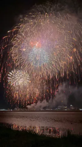 夜空を彩る光のシャワー
