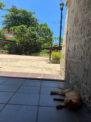 青空の下で静かな午後