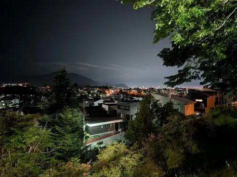 夜景に溶け込む木々と街の灯り