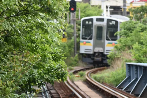 緑に隠れるカーブの列車