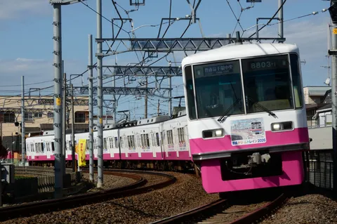 ピンクの列車、急カーブを駆け抜ける