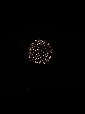 漆黒に咲く、一瞬の芸術