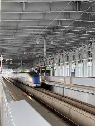 駅に滑り込む、未来の形