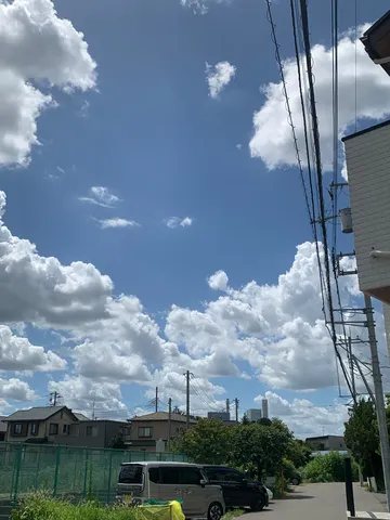 夏の積乱雲と電線