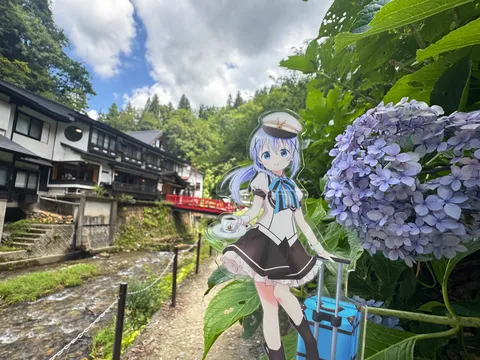 アジサイと旅人、ちょっと一服？