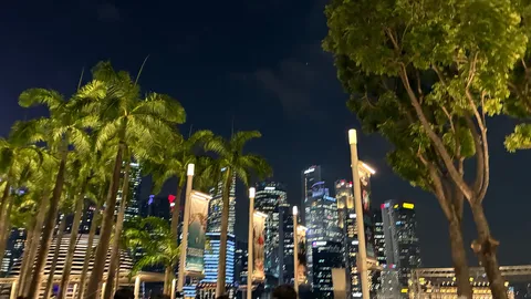 ヤシと摩天楼の都会の夜景