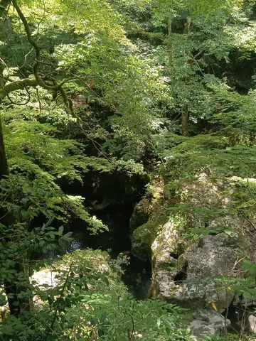 木漏れ日と深い谷の静寂