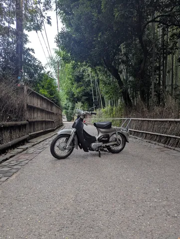 昭和レトロな風情、竹林の小道