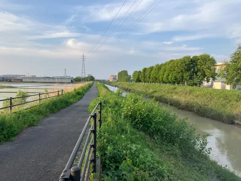 水辺の風景とまっすぐな道
