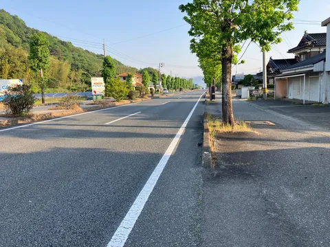木漏れ日と静かな街並み