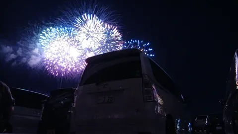 夏の夜空を彩る光の芸術