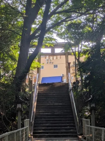 樹影と鳥居の階段