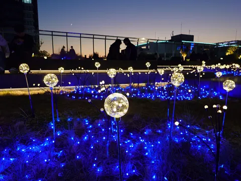 夜風に揺れる光の群れ