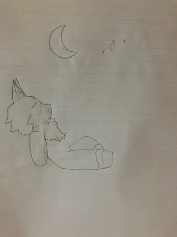 月夜に星を眺める