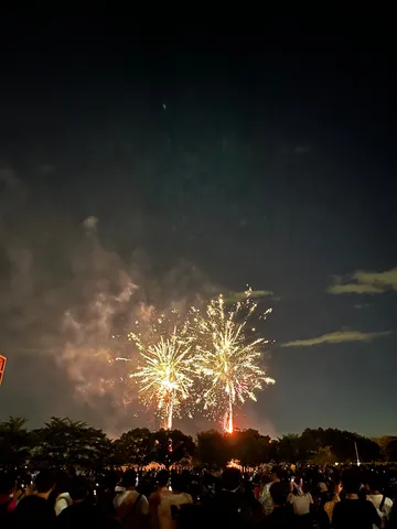 夜空を彩る、祭りの熱気