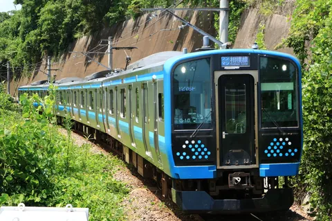 緑に映える青い電車