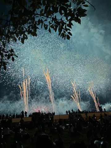 夜空に広がる光の花火