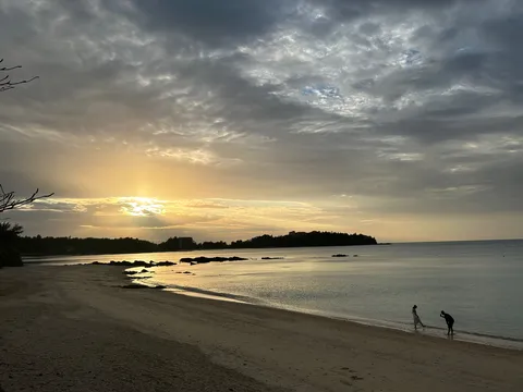 黄昏の海辺に光が宿る