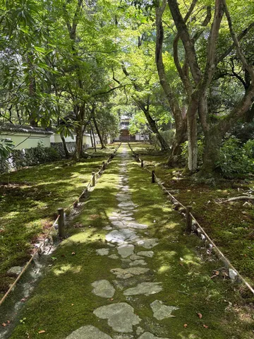 緑に包まれる石畳の参道