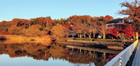 湖畔を彩る秋の燃えるような紅葉