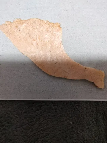 メキシコみたいな形のエビせん