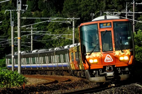 新緑の中を走る特別な列車