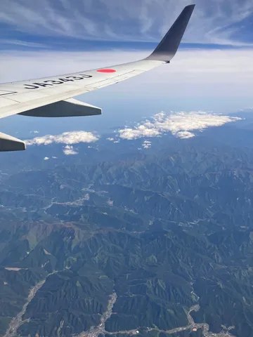 空から見た緑の山脈に抱かれる町