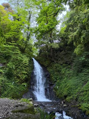 緑深き滝の静寂