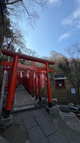赤い鳥居の連なる祈り道