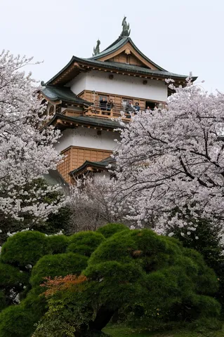 花と古城、新旧の風情