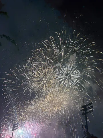 夜空に咲く、光の花火