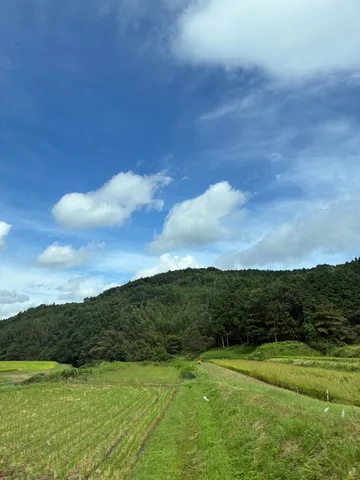 緑に囲まれた田園風景