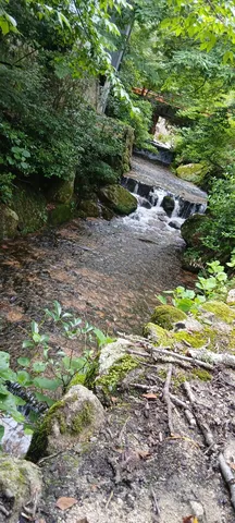 涼やかな渓流の記録
