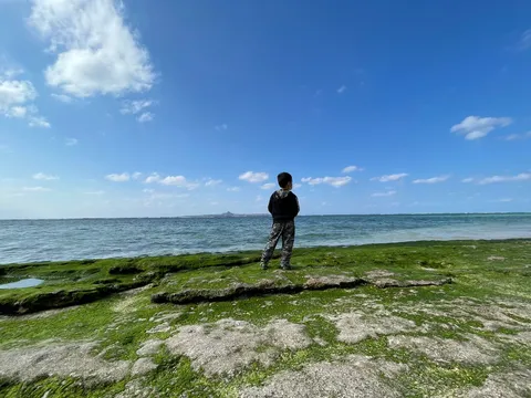 潮風と緑の境界線