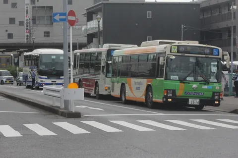 緑と白のバスが並ぶ朝街
