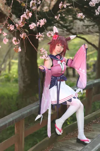 桜彩る、夢路のうさぎ