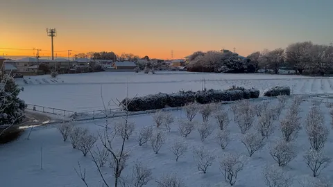 冬の朝、静寂に包まれた雪景色