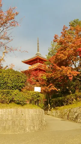 紅葉の塔と静かな路