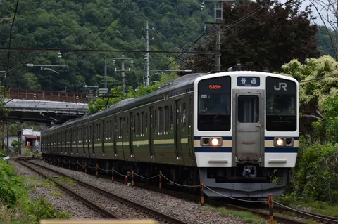 新緑を駆ける列車