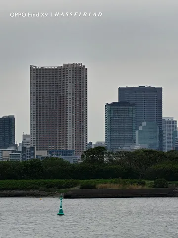 都会の海辺、無機質なビル群と緑のコントラスト