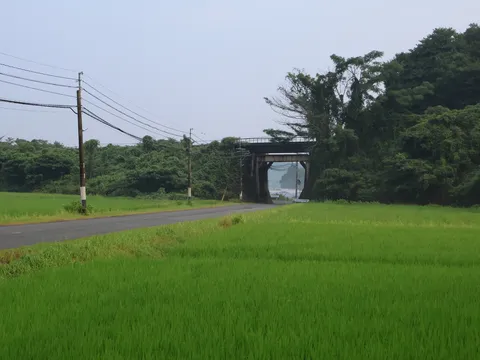 緑に包まれたトンネルの先