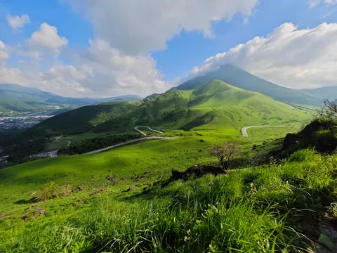 風と緑のうねり道