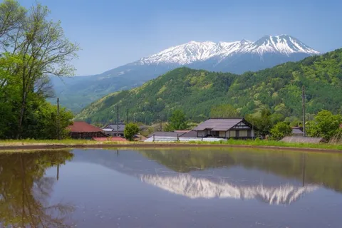 緑萌える里山と雪化粧の山