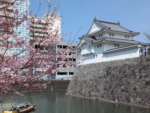 桜と石垣、水面に映る春