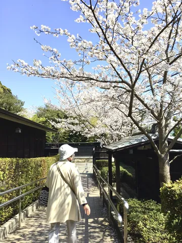 桜咲く、春の散策路