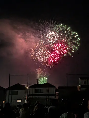 街を彩る夜空の花