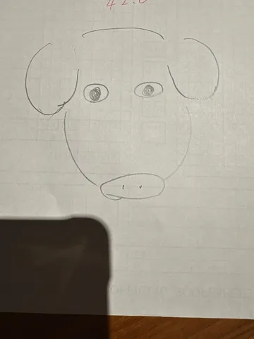 ゆるかわブタさん、こんにちは